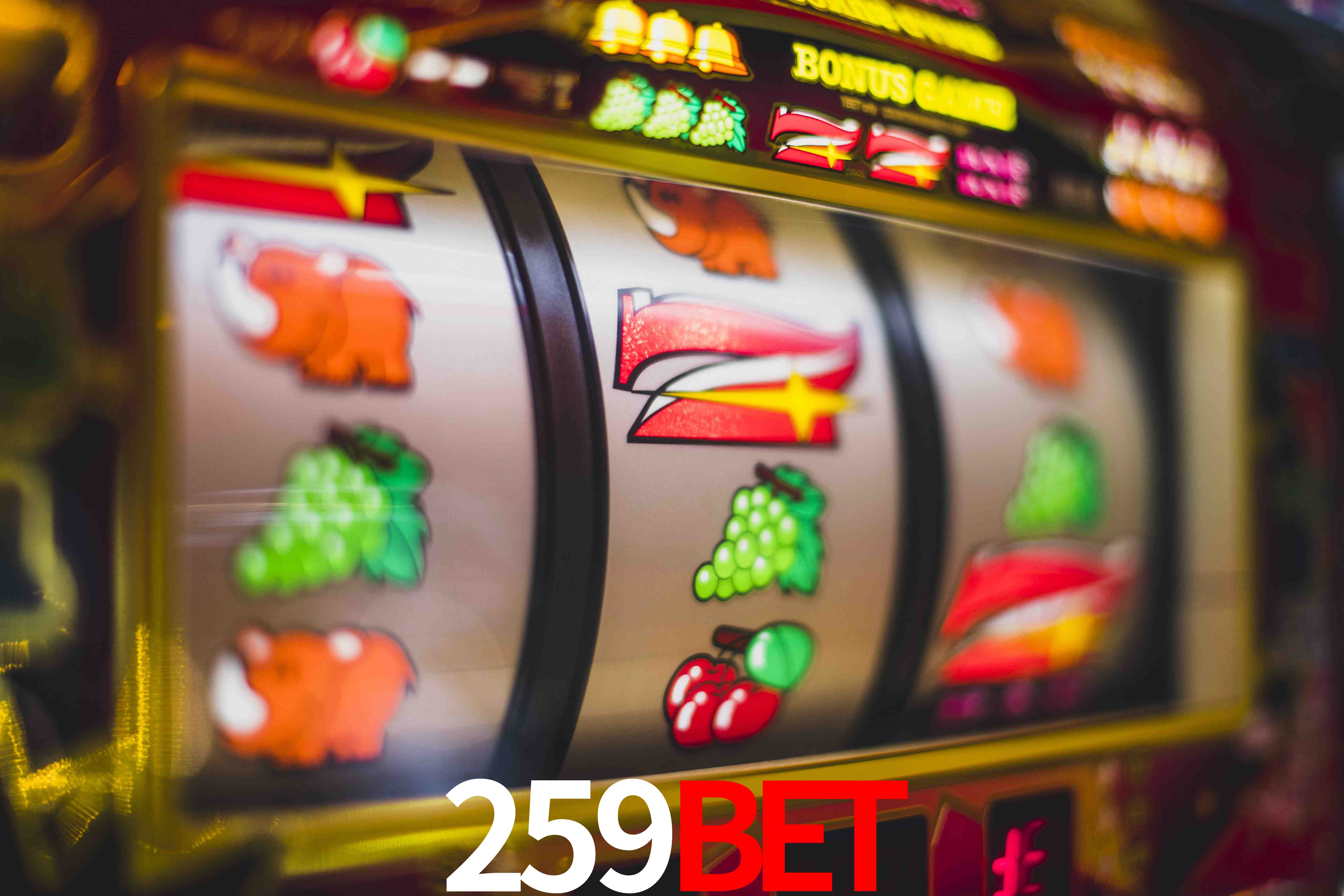 Basketball Betting 259bet